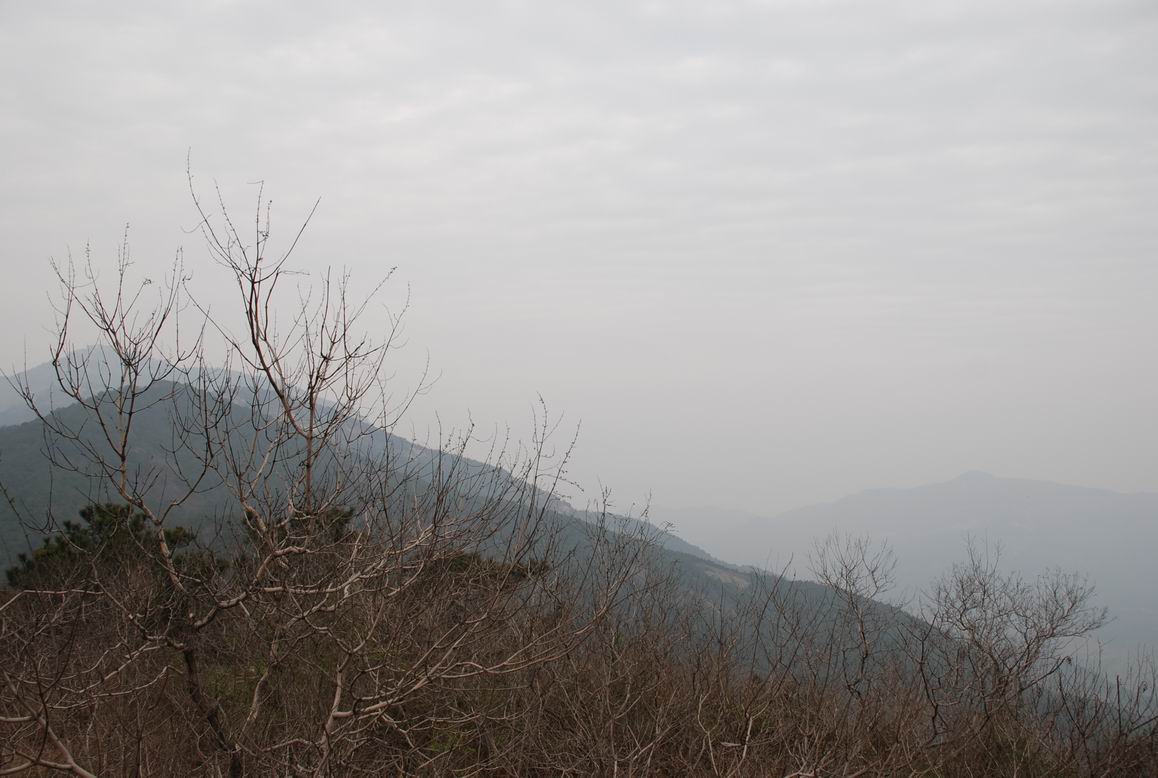 Resize of DSC_0465.JPG