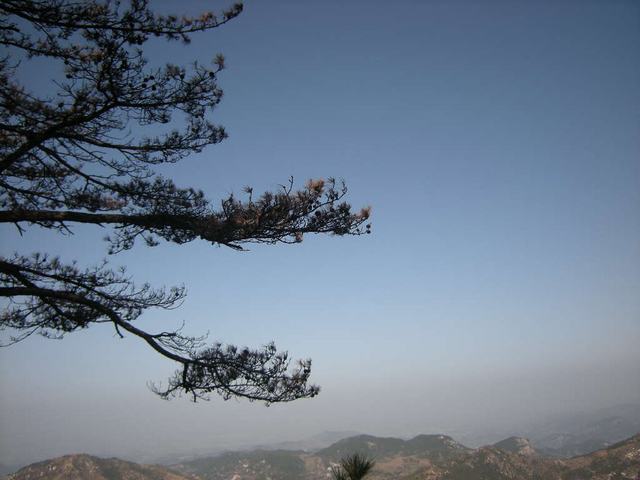 200931915382124193[1].jpg