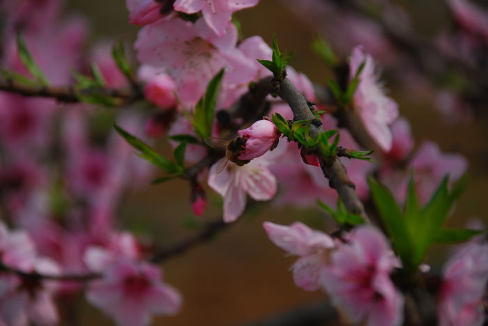 nEO_IMG_DSC_4632.jpg