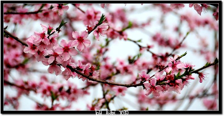 DSC_0215_nEO_IMG.jpg