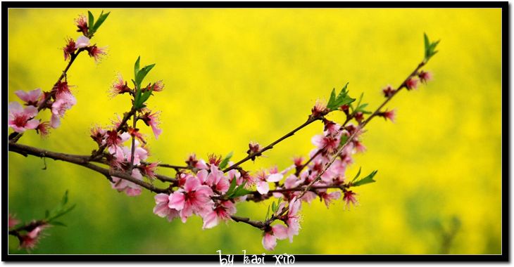 DSC_0206_nEO_IMG.jpg