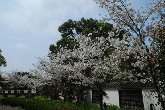 nEO_IMG_DSC_4748.jpg