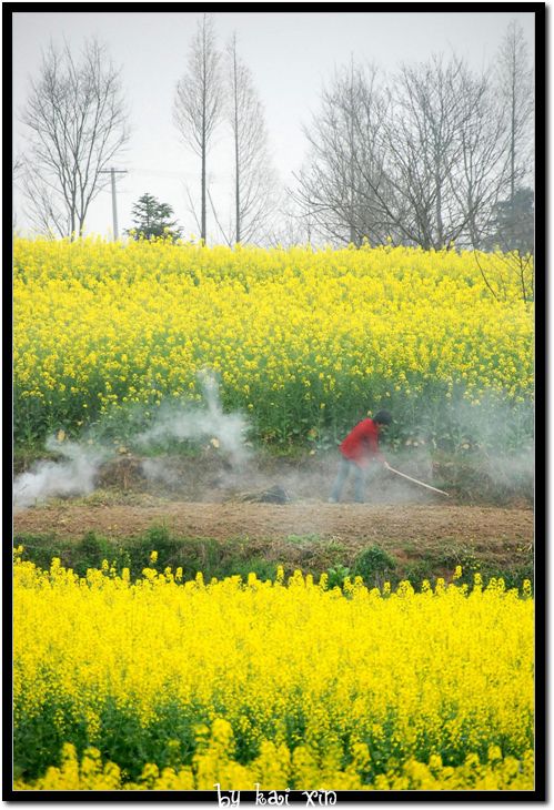 DSC_0174_nEO_IMG.jpg
