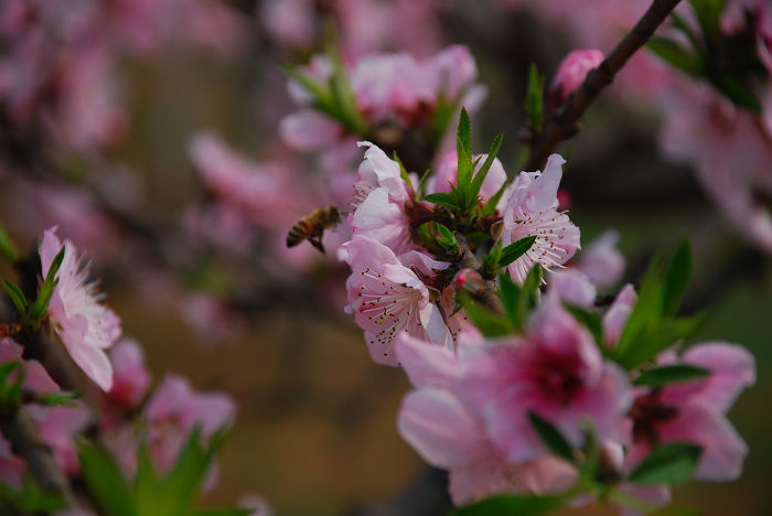 nEO_IMG_DSC_4645.jpg