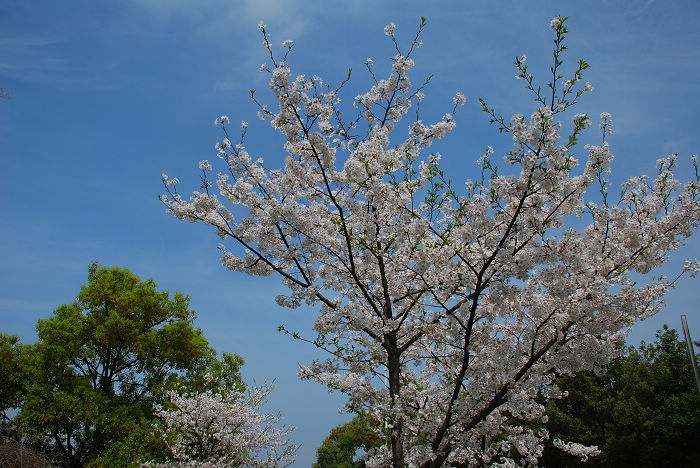 nEO_IMG_DSC_4772.jpg