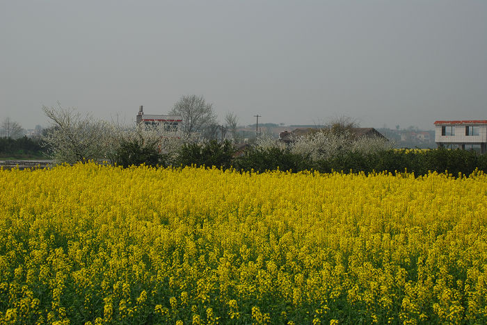 nEO_IMG_DSC_4612.jpg