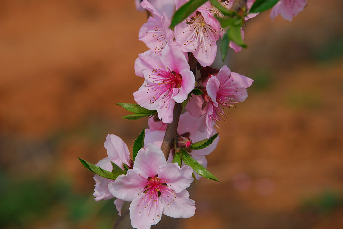 nEO_IMG_DSC_4657.jpg