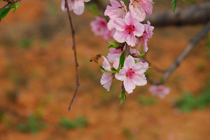 nEO_IMG_DSC_4655.jpg