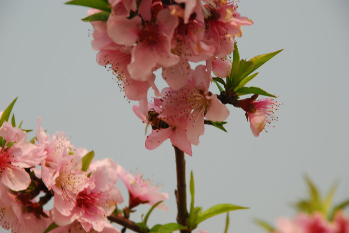 nEO_IMG_DSC_4658.jpg