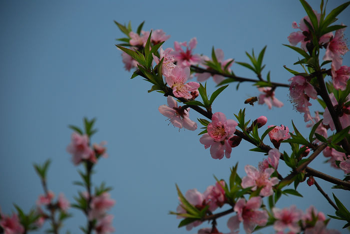 nEO_IMG_DSC_4675.jpg