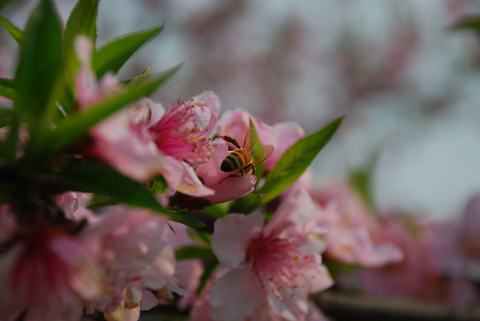 nEO_IMG_DSC_4686.jpg