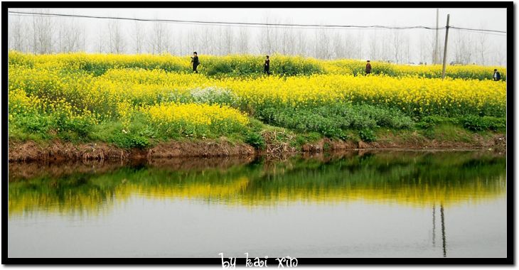 DSC_0068_nEO_IMG.jpg