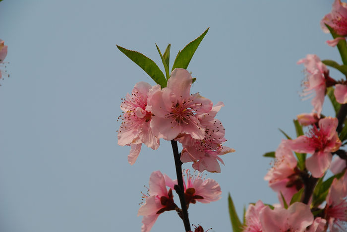 nEO_IMG_DSC_4692.jpg