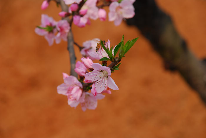 nEO_IMG_DSC_4654.jpg