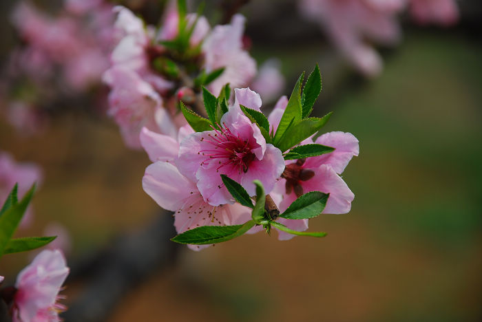 nEO_IMG_DSC_4629.jpg
