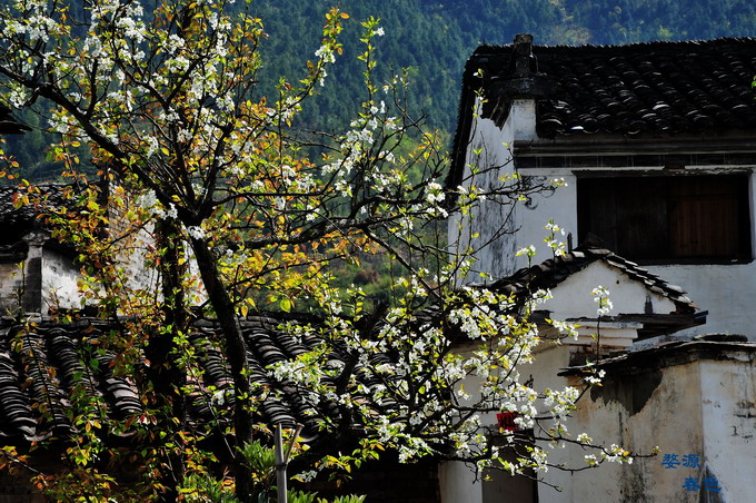 DSC_1b4190.JPG