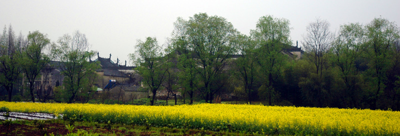 DSC_3209.jpg