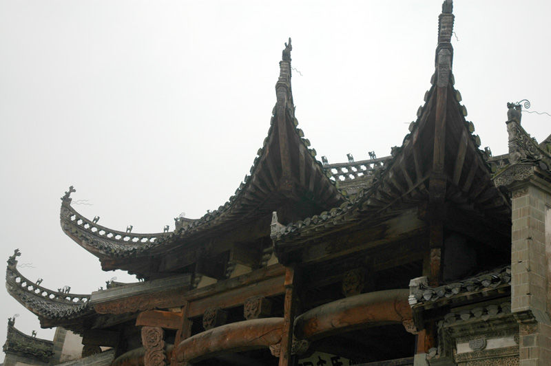 DSC_3205.jpg