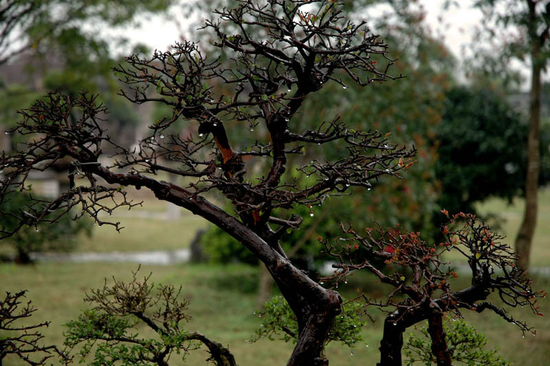 DSC_3178.jpg