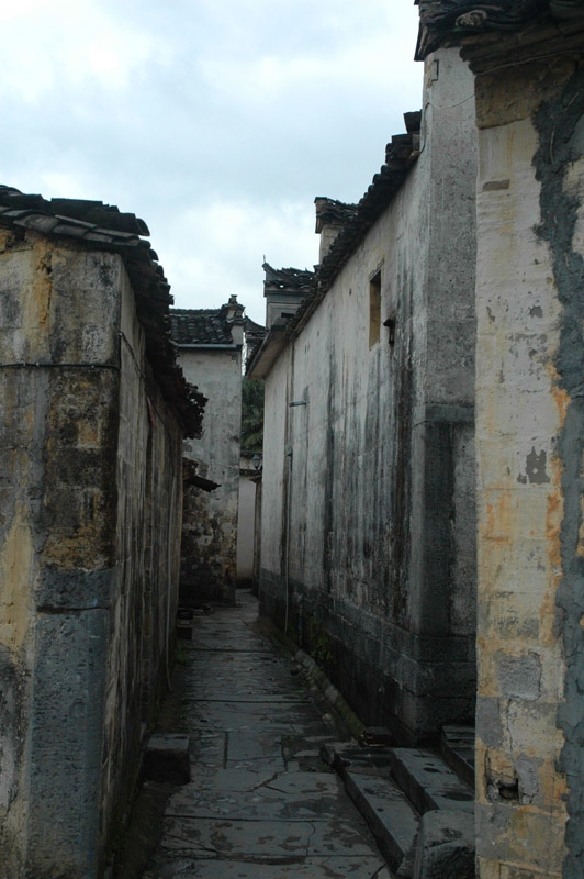 DSC_3348.jpg