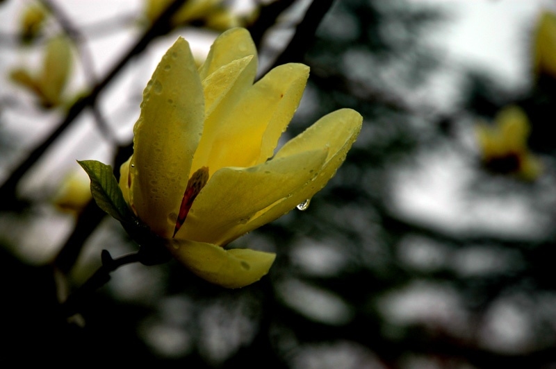 DSC_3152.jpg