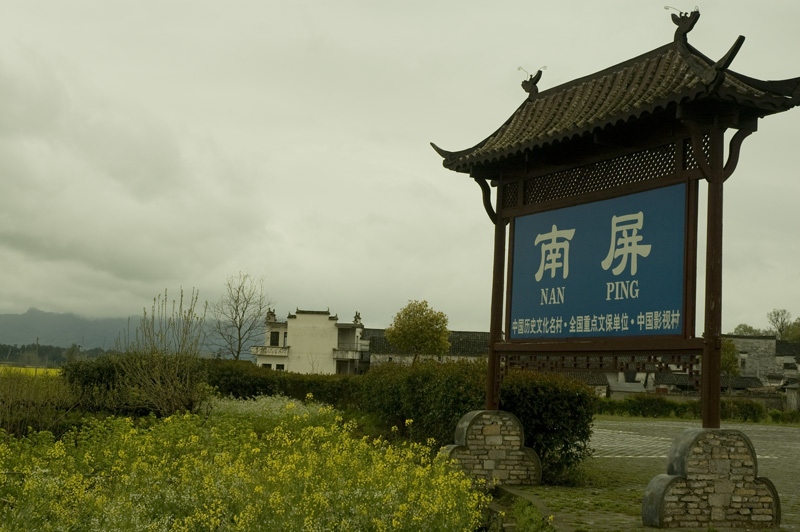 DSC_3393.jpg