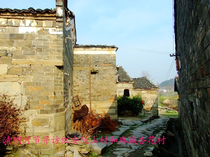 nEO_IMG_Ƭ 167.jpg