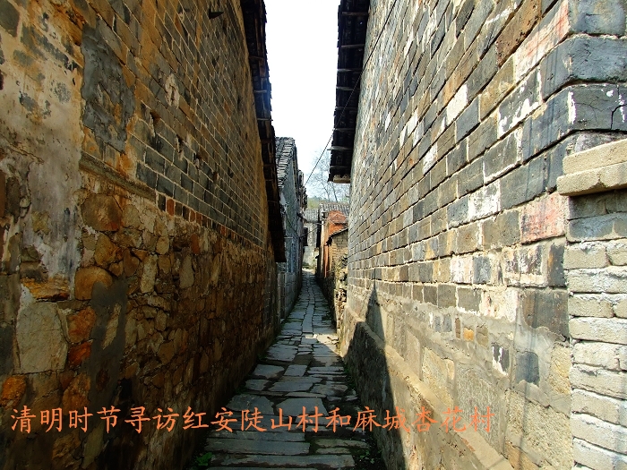 nEO_IMG_Ƭ 267.jpg
