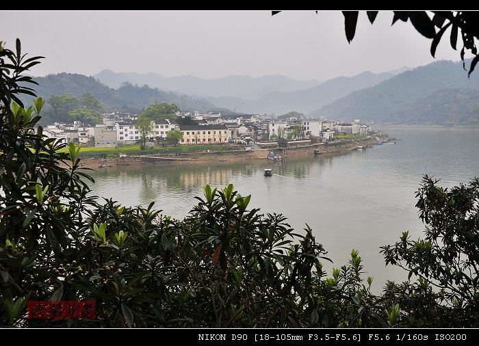 DSC_0334.jpg