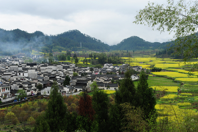 DSC_1601.jpg