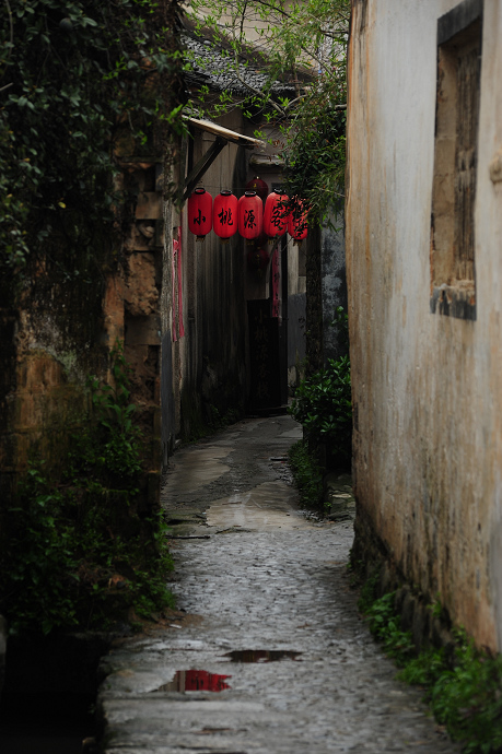 DSC_1728.jpg