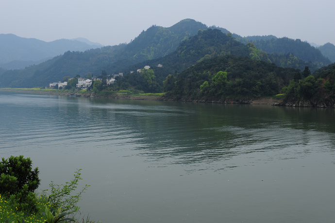 DSC_1771.jpg
