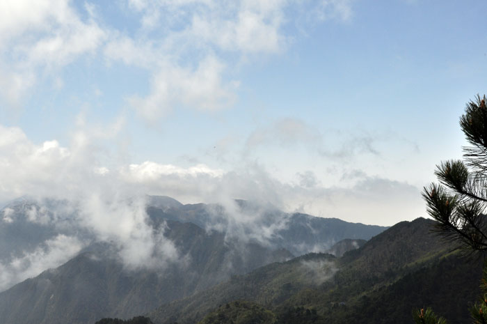 DSC_0100.JPG