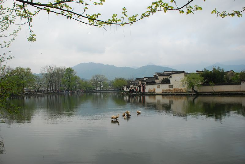 DSC_0360.JPG