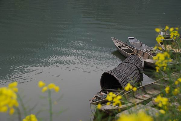 С DSC_0237.JPG