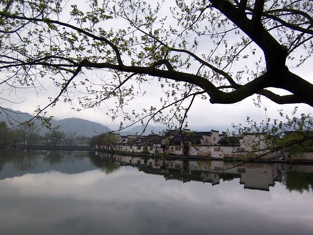 100_3083.JPG