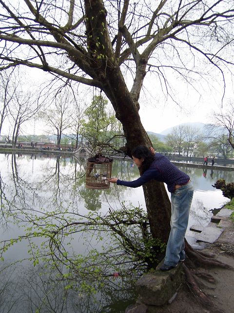 100_3088.JPG