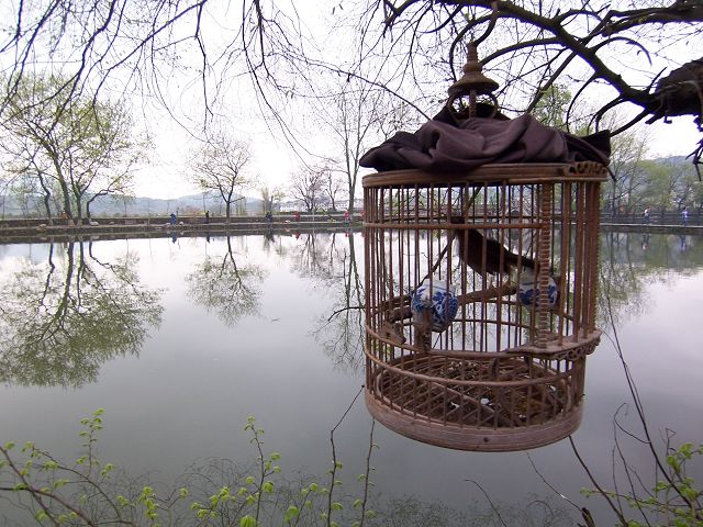 100_3087.JPG