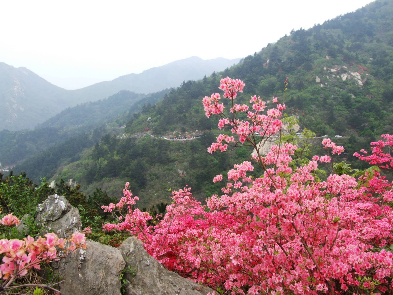 DSCF5354.jpg
