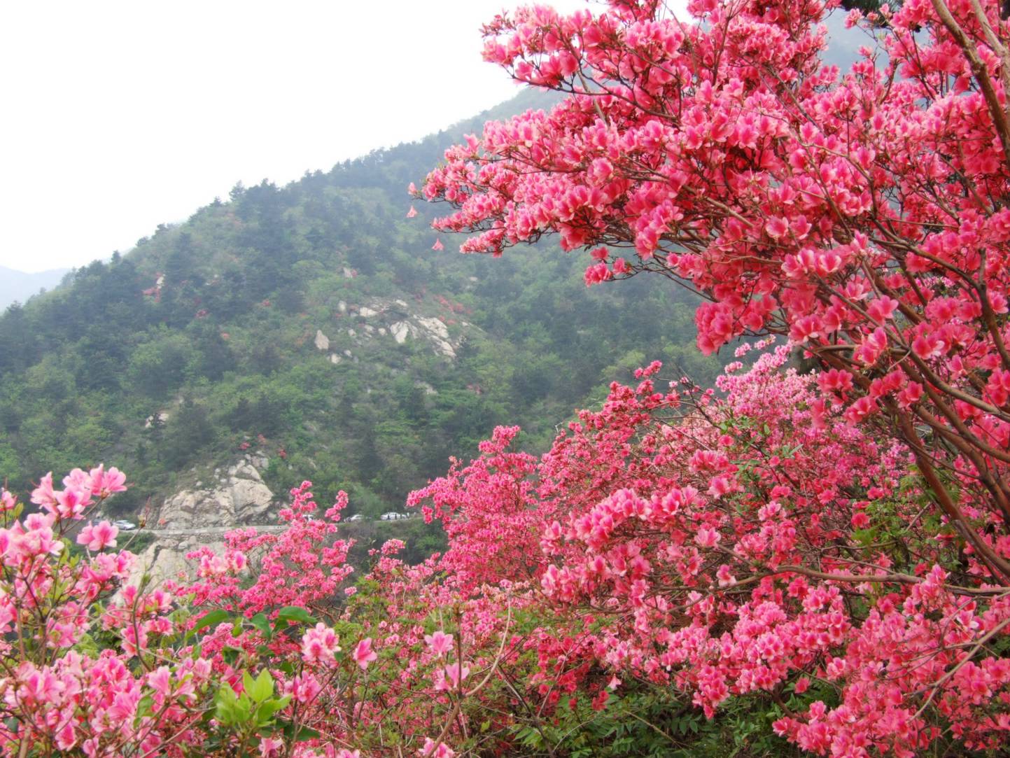 DSCF5355.jpg