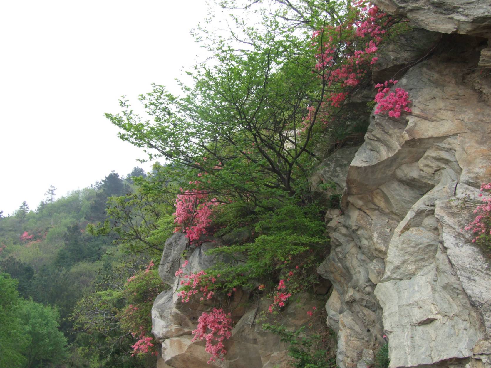 DSCF5313.jpg