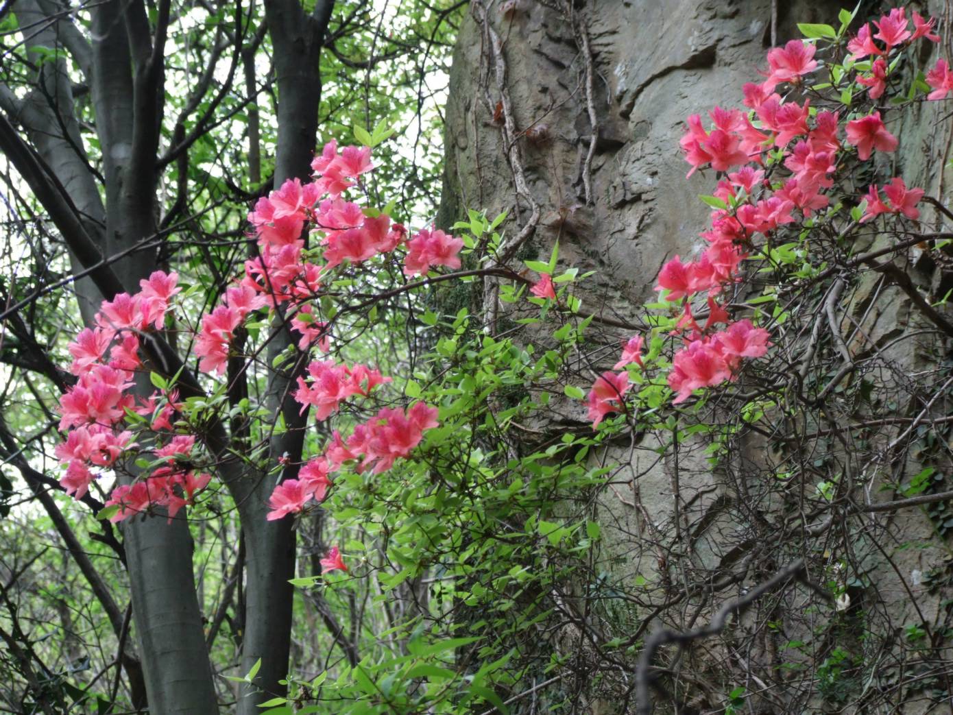 DSCF5304.jpg
