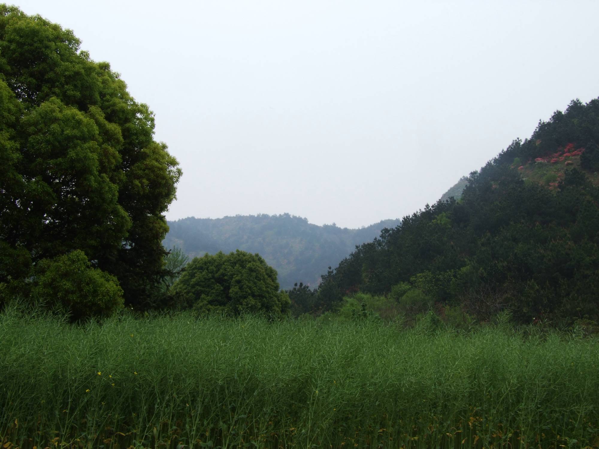 DSCF5290.jpg
