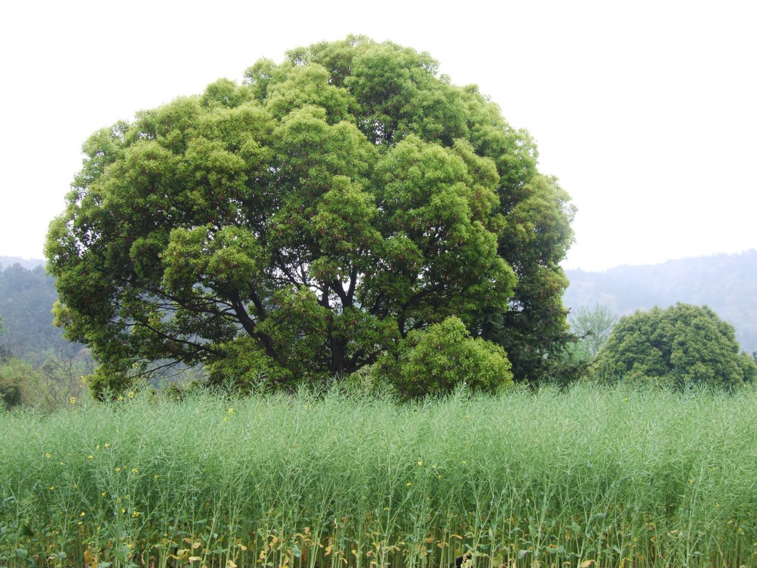 DSCF5289.jpg
