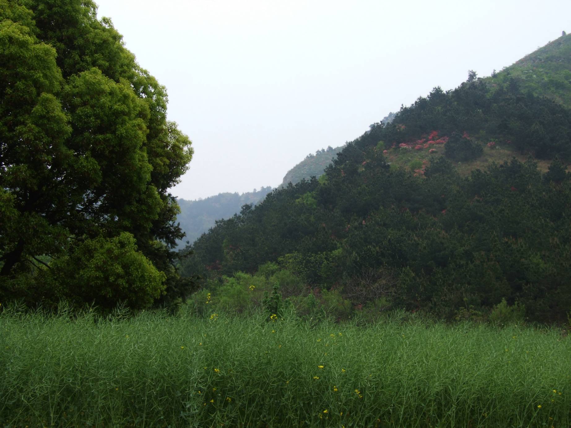 DSCF5291.jpg