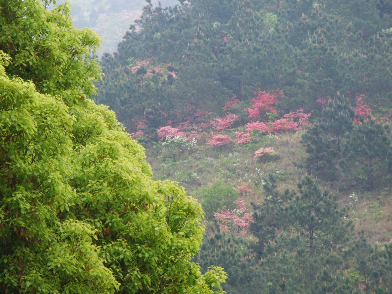 DSCF5294.jpg