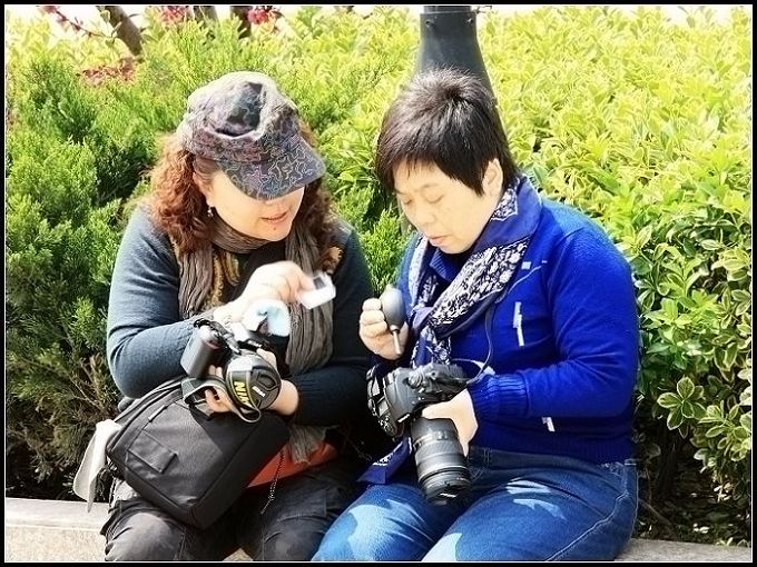 专注的交