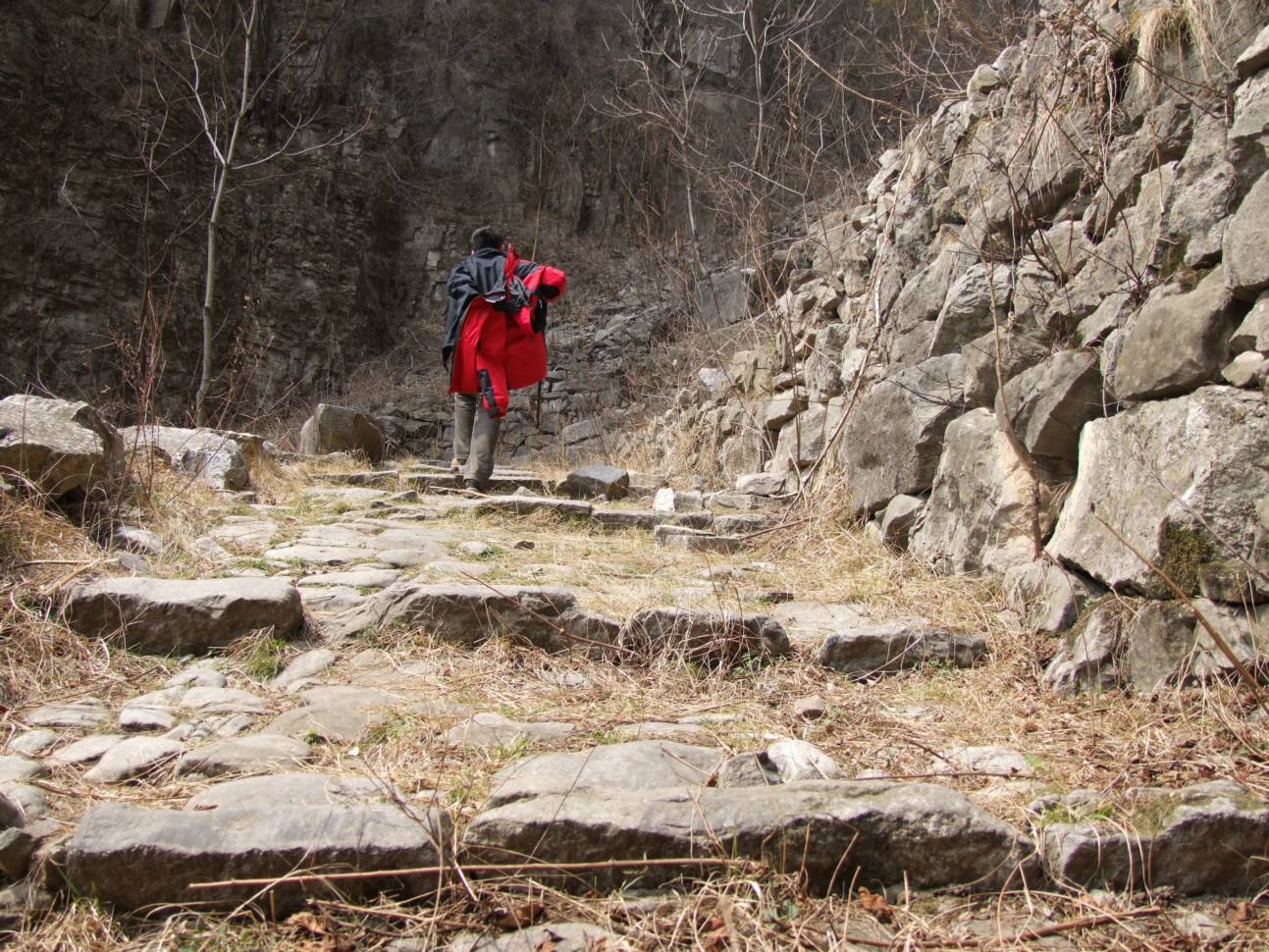 DSCF5075.jpg