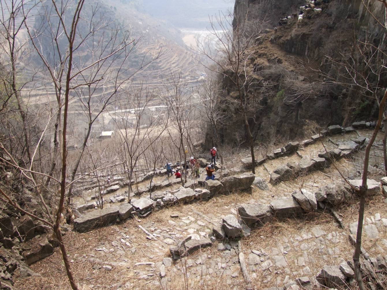 DSCF5074.jpg
