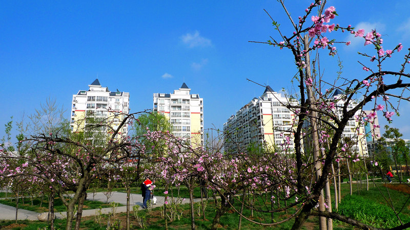 P1020139.jpg